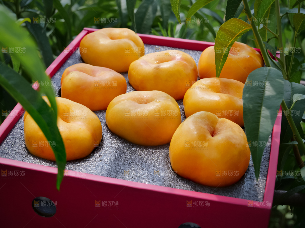 黄油蟠桃