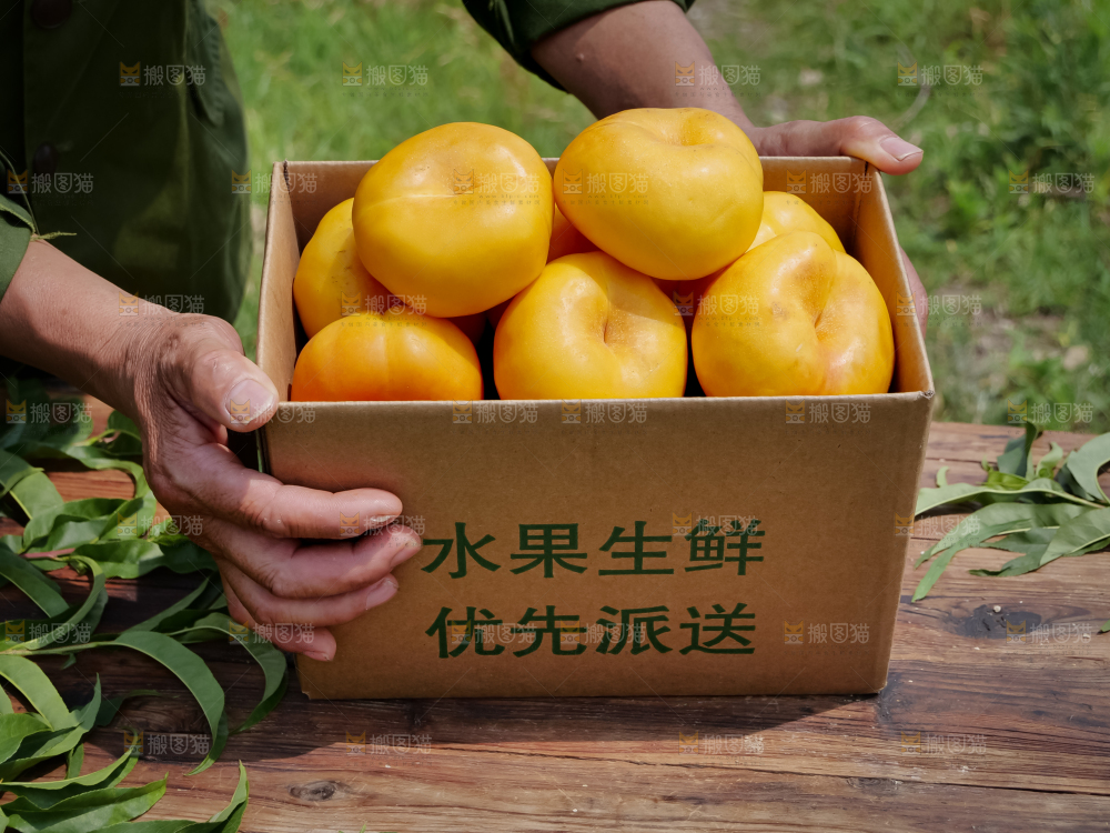 黄油蟠桃