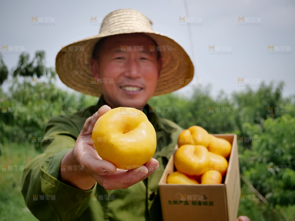 黄油蟠桃