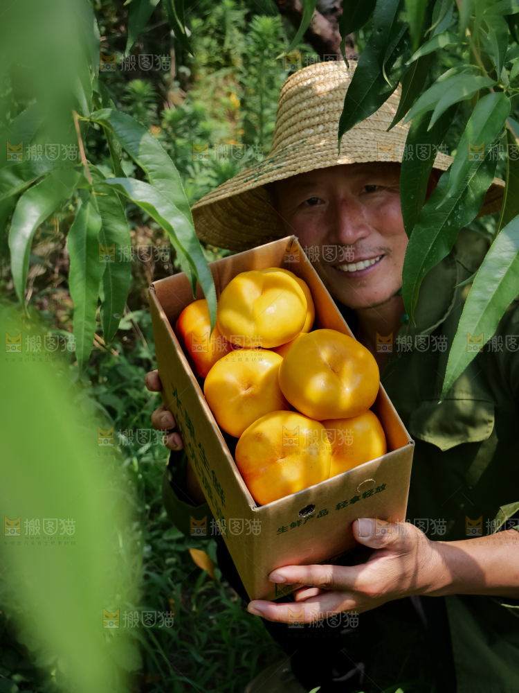 黄油蟠桃
