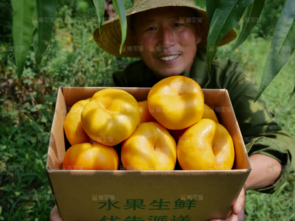 黄油蟠桃