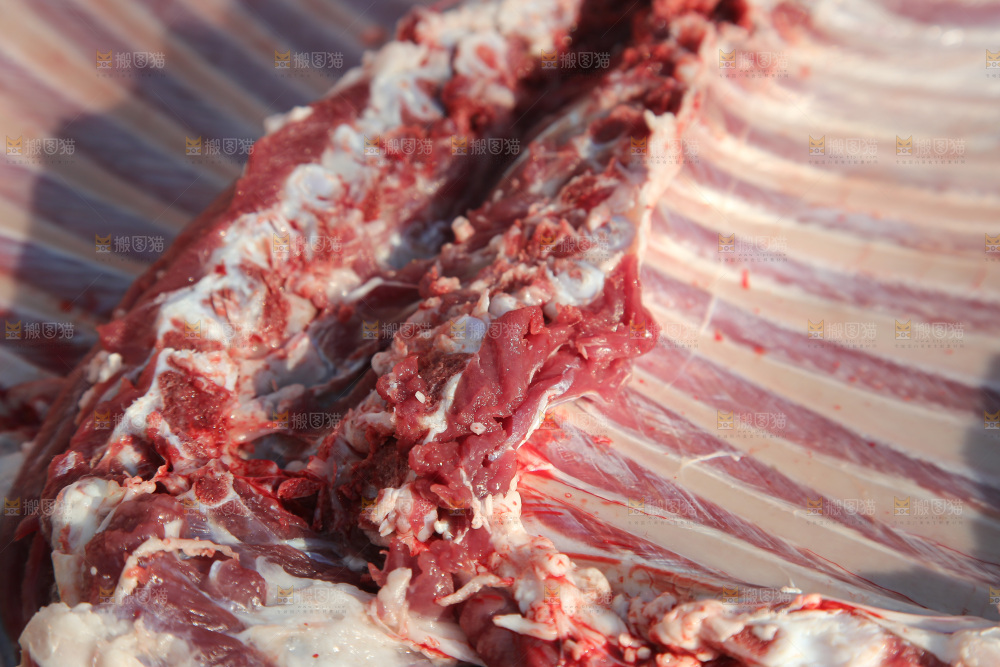 羊肉