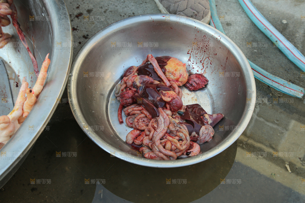 鸡肉