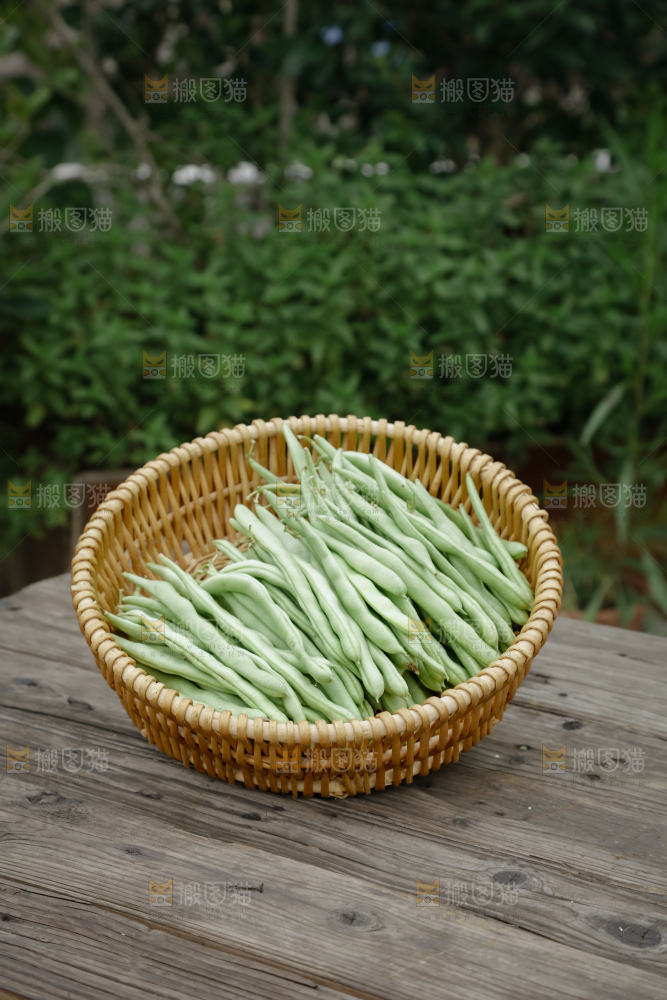 四季豆