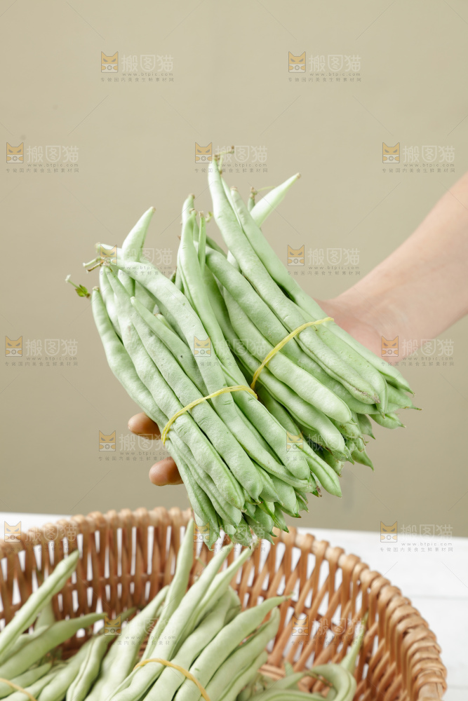 四季豆