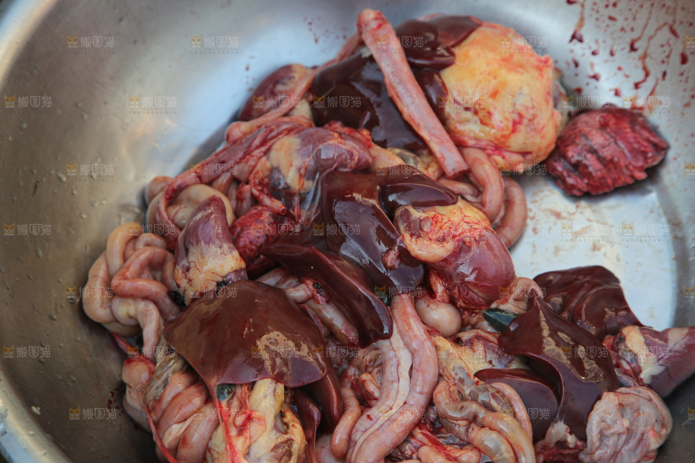 鸡肉