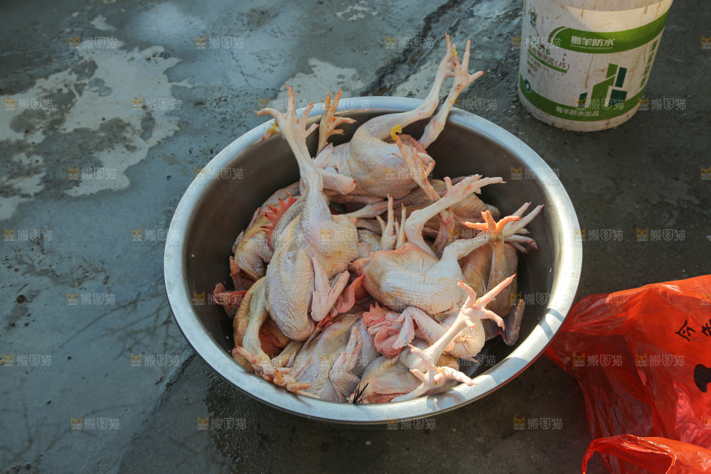 鸡肉