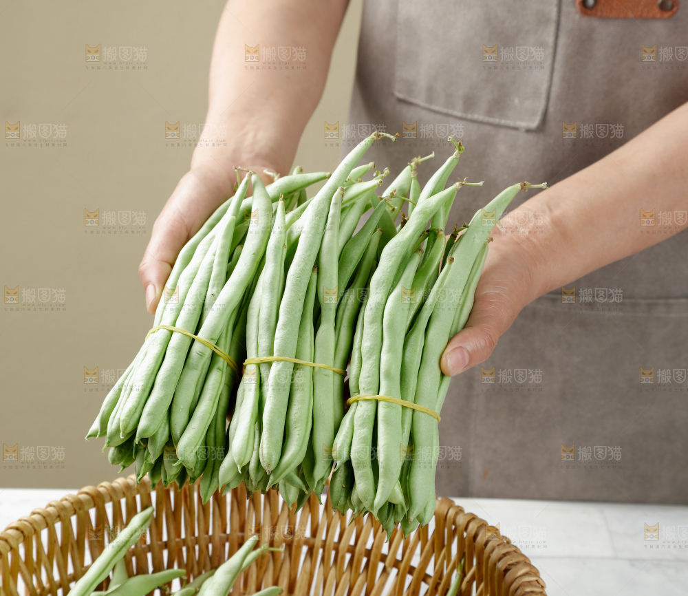 四季豆