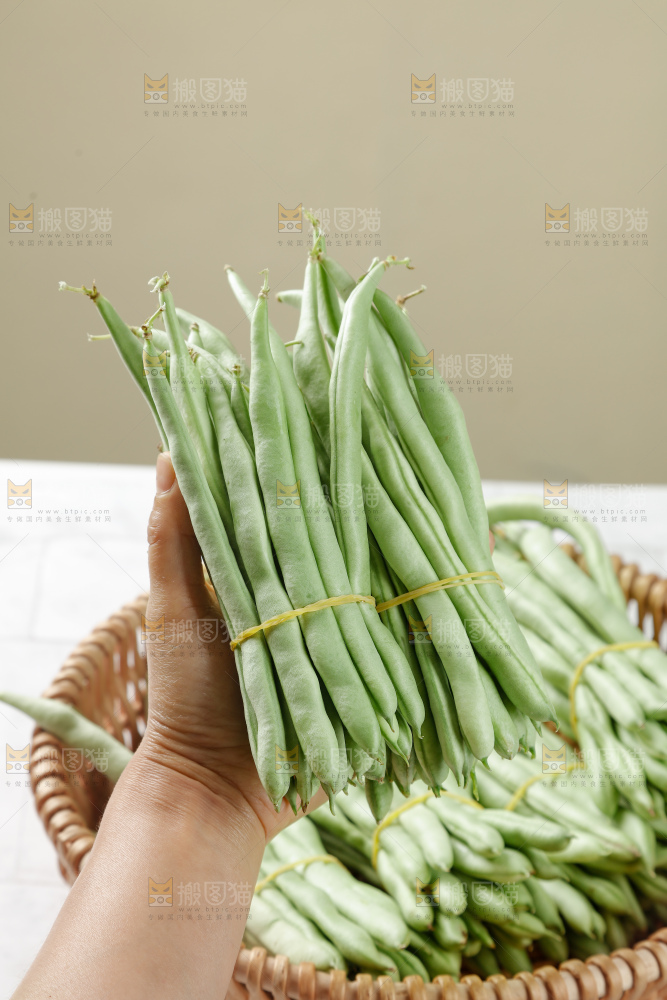 四季豆