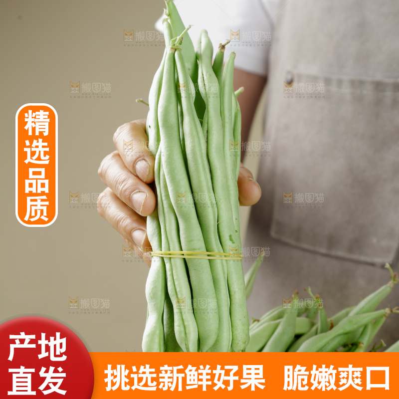 四季豆
