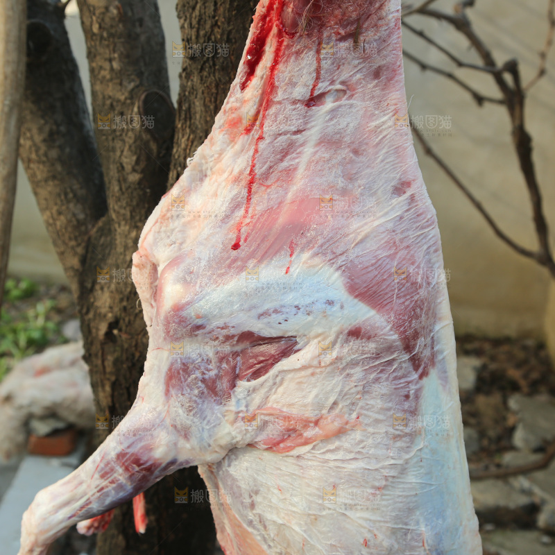 羊肉