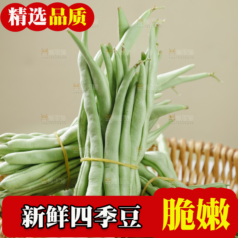 四季豆