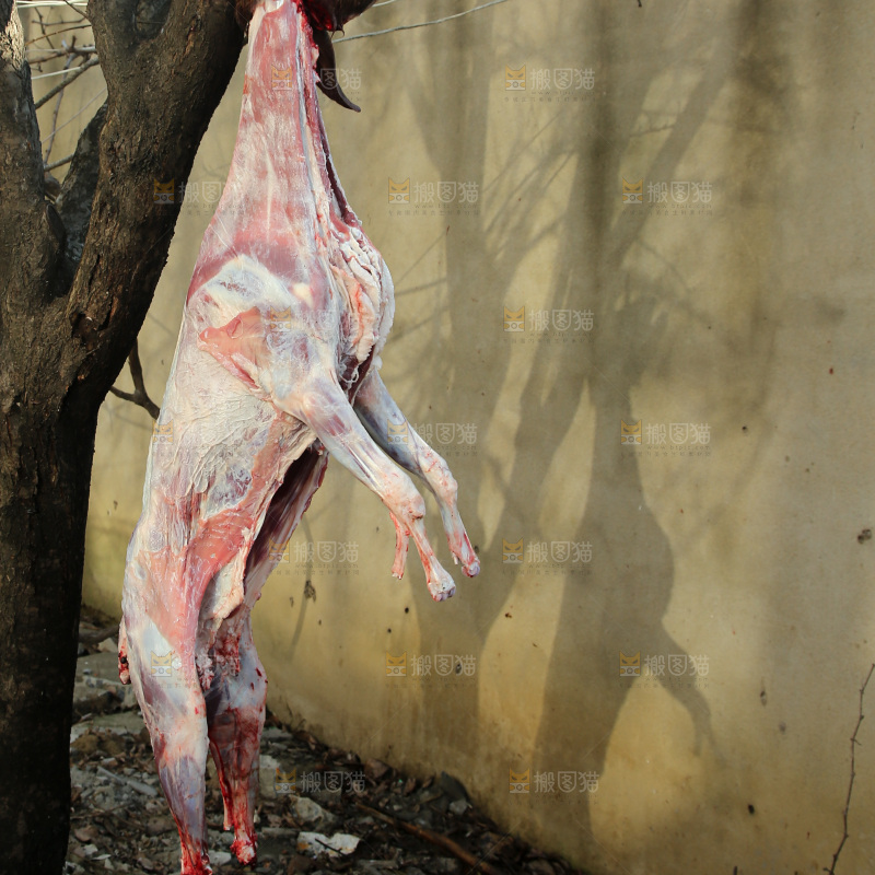 羊肉
