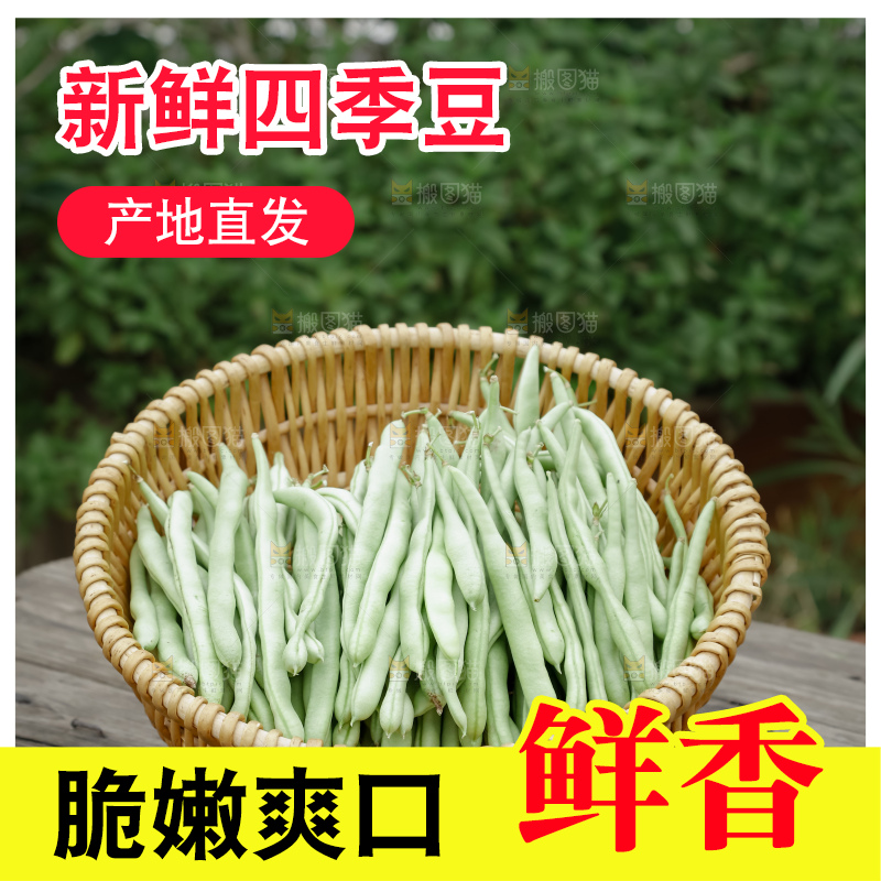 四季豆