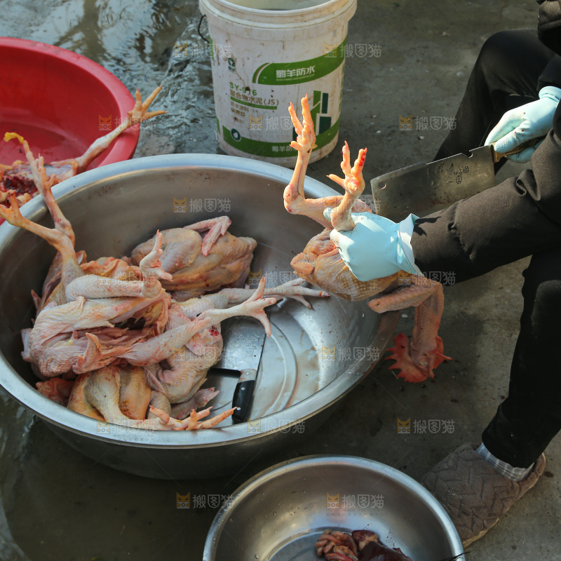 鸡肉