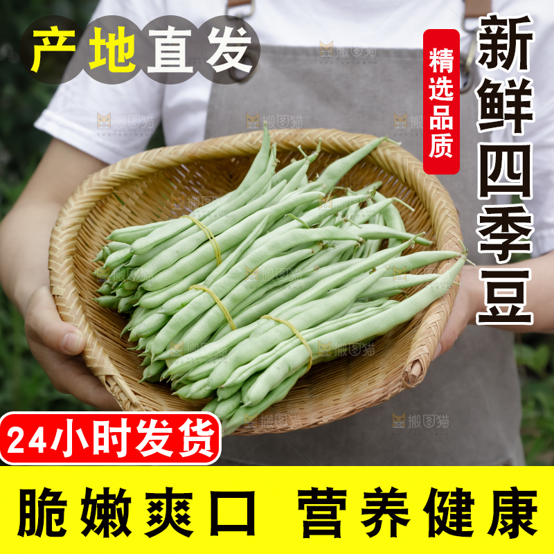 四季豆