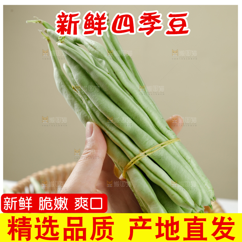 四季豆