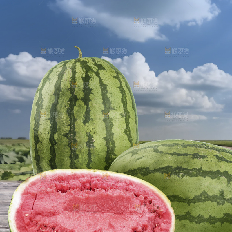 石头瓜