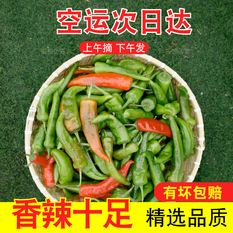 青椒