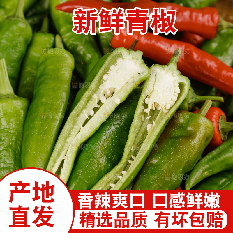 青椒