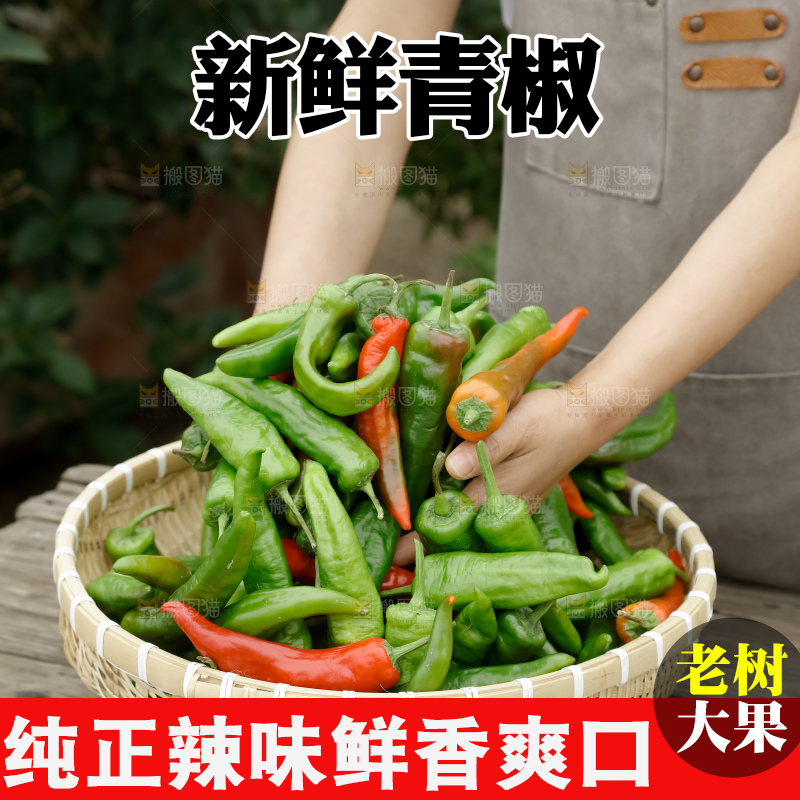 青椒