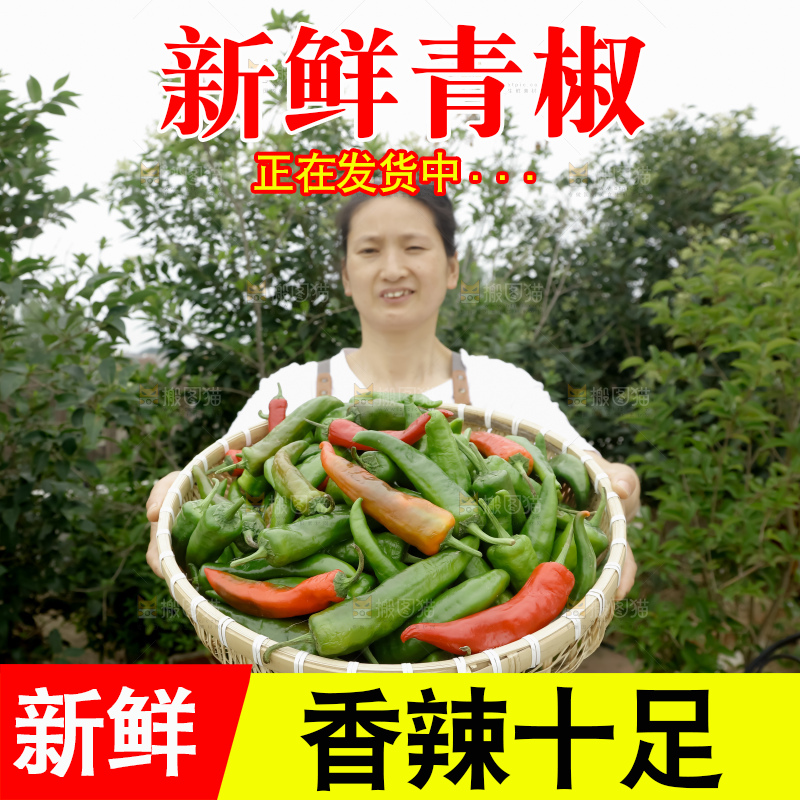 青椒