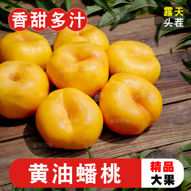 黄油蟠桃