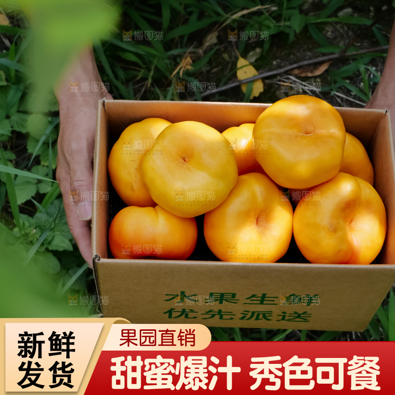 黄油蟠桃