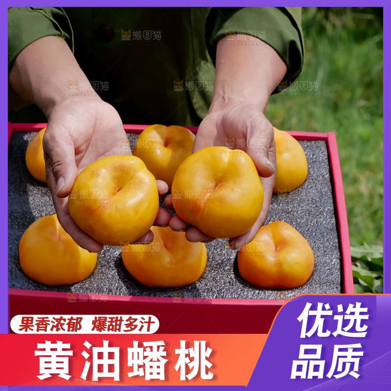 黄油蟠桃