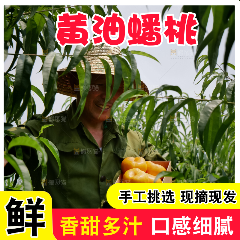 黄油蟠桃