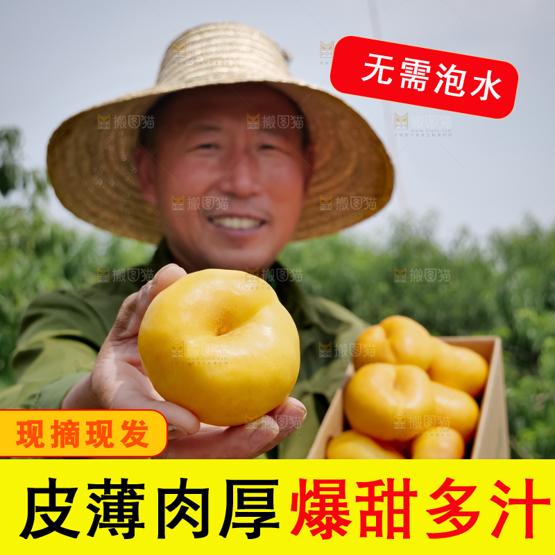 黄油蟠桃