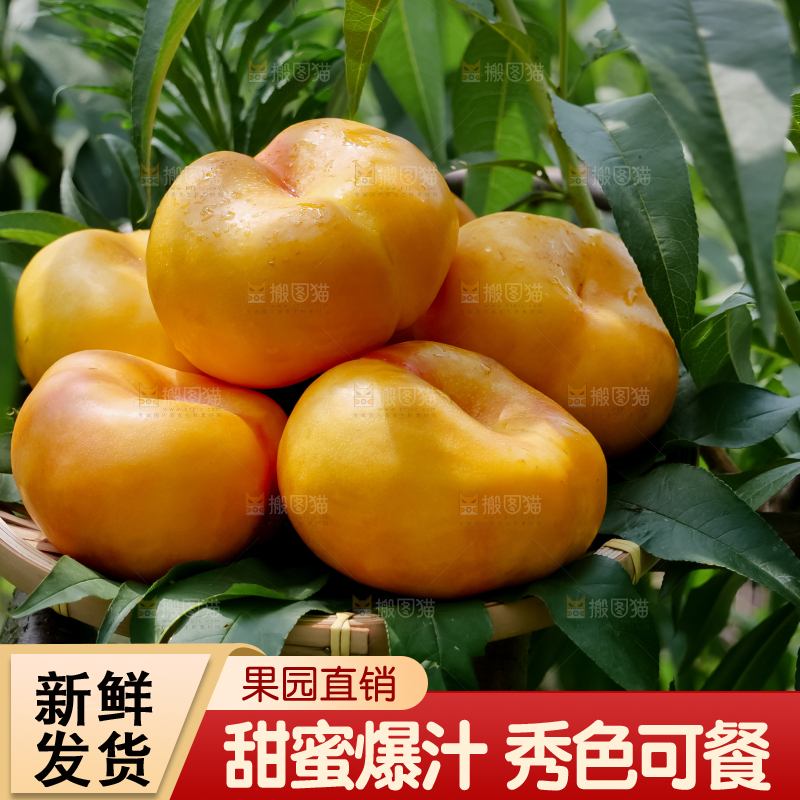 黄油蟠桃