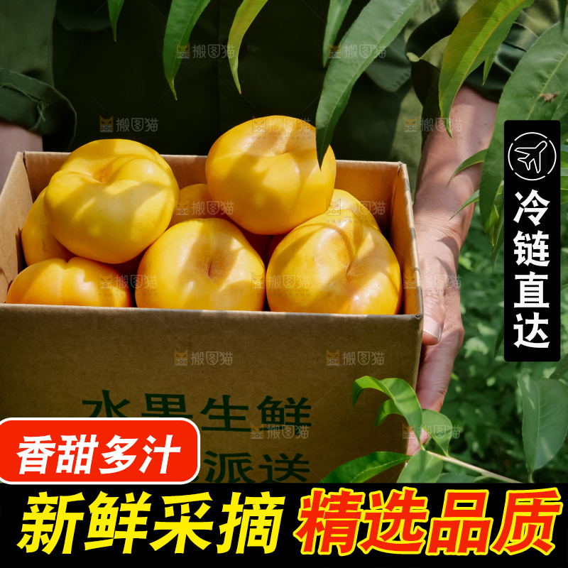黄油蟠桃