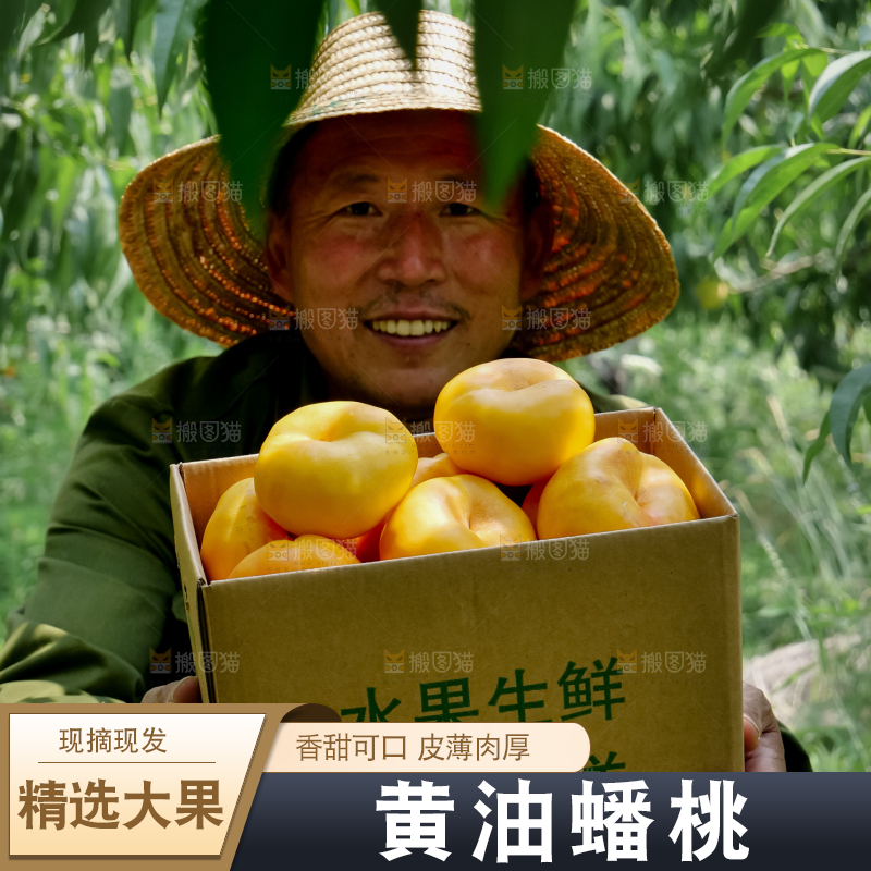 黄油蟠桃