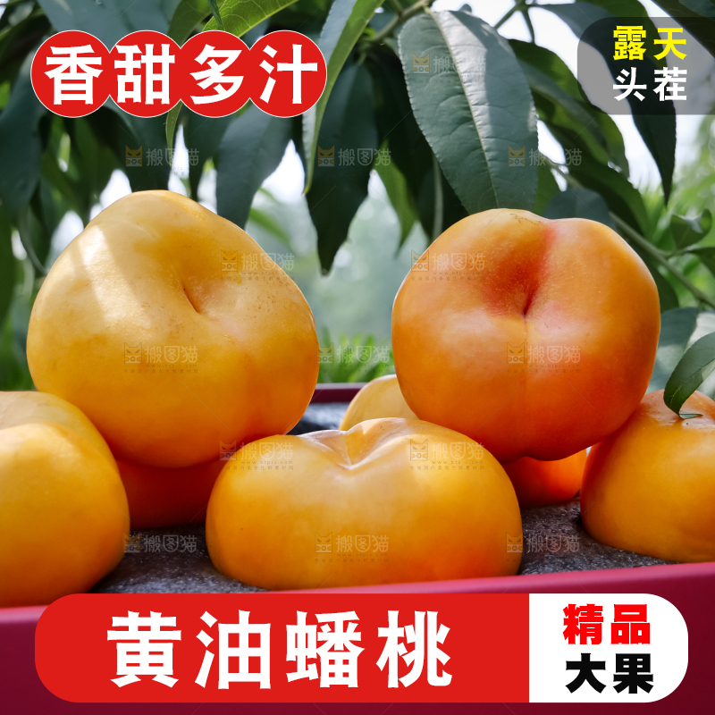 黄油蟠桃