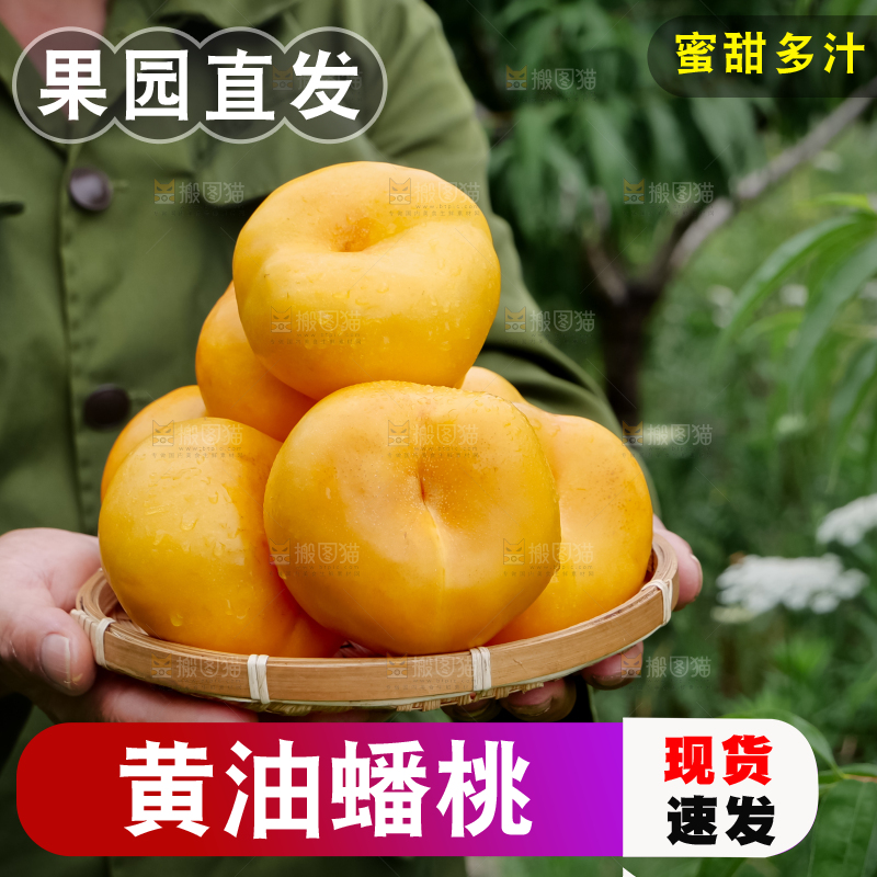 黄油蟠桃