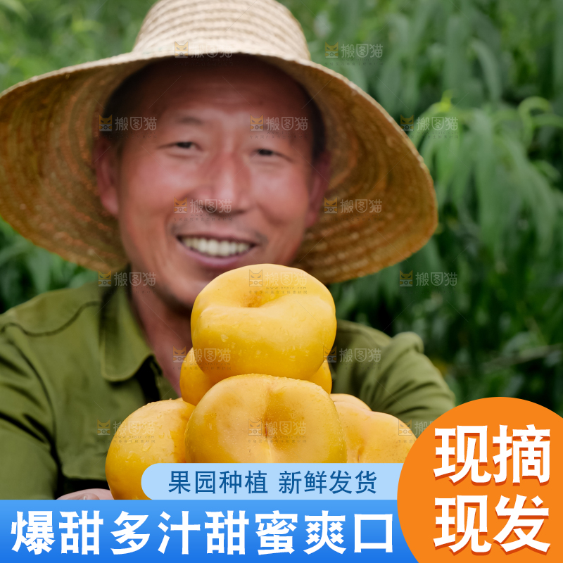 黄油蟠桃