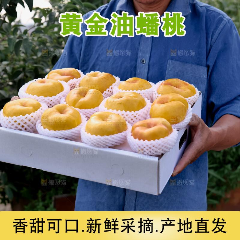 黄油蟠桃
