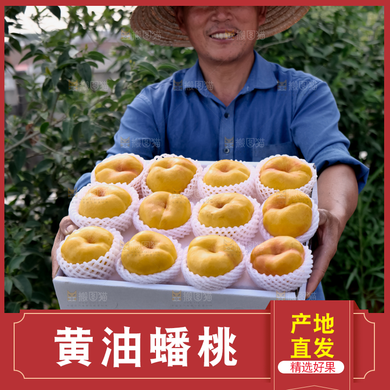黄油蟠桃