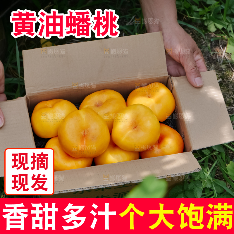 黄油蟠桃