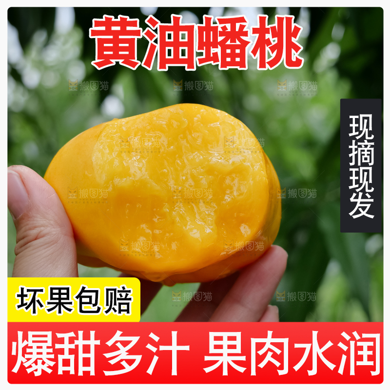 黄油蟠桃
