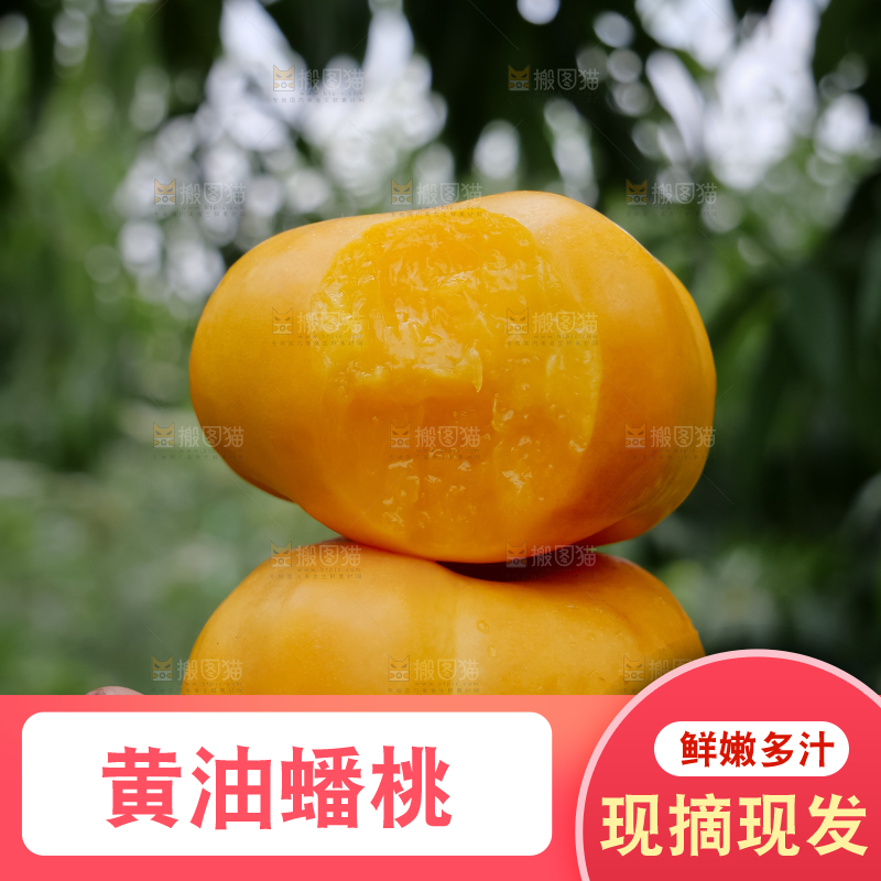 黄油蟠桃