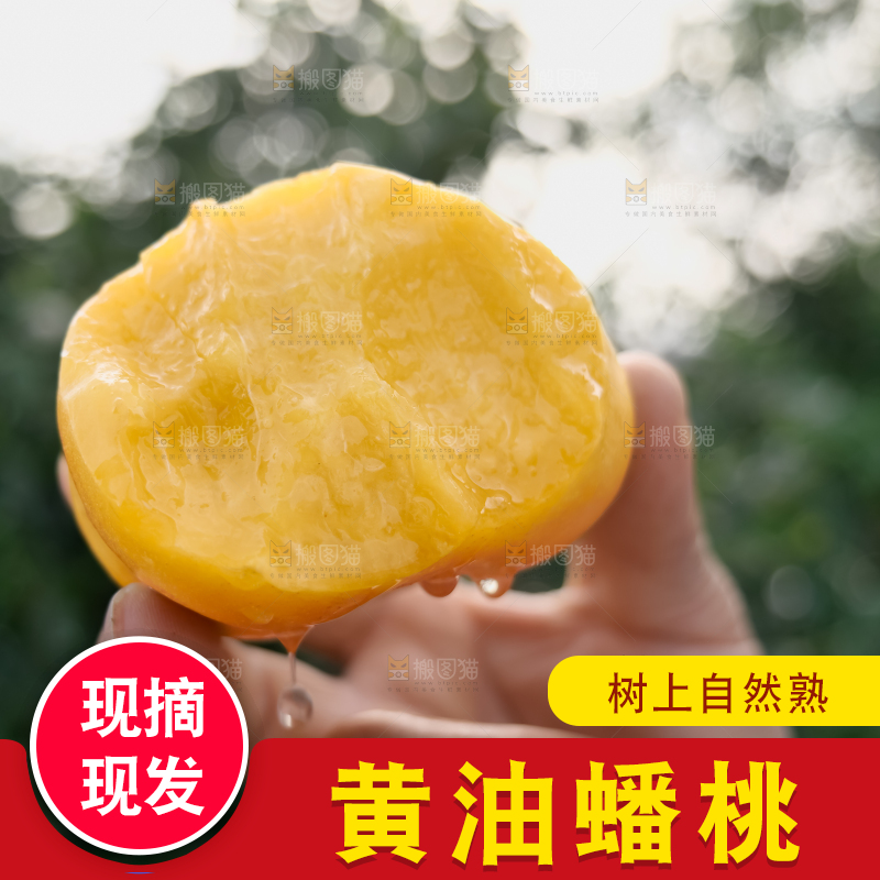 黄油蟠桃