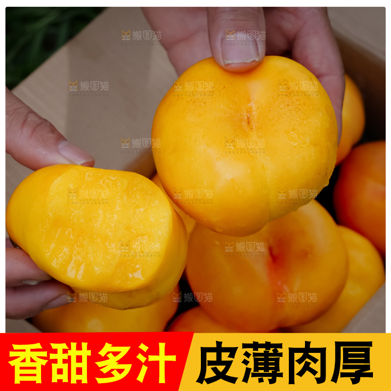 黄油蟠桃