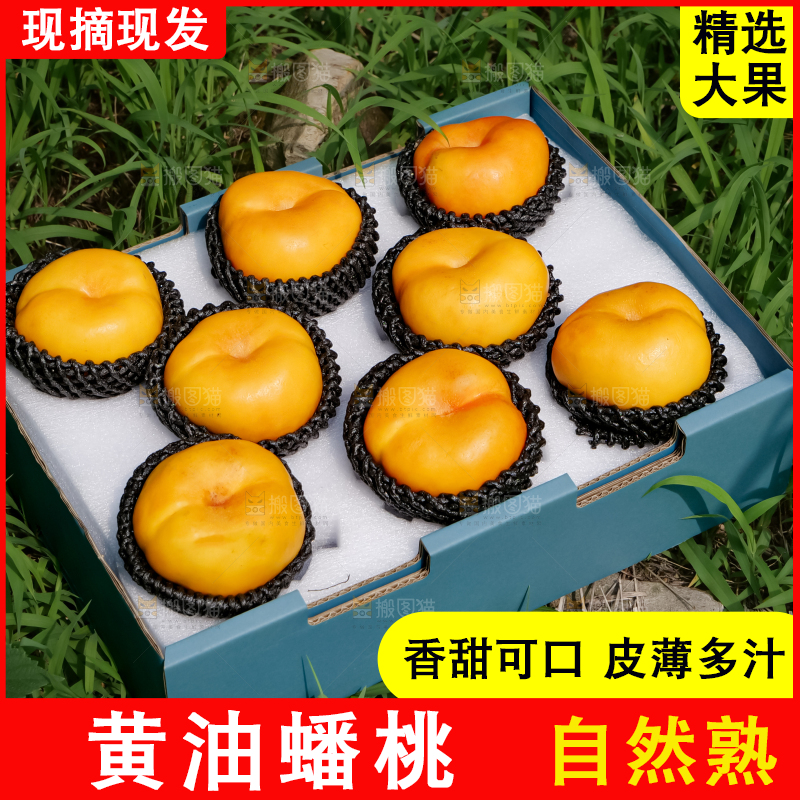 黄油蟠桃