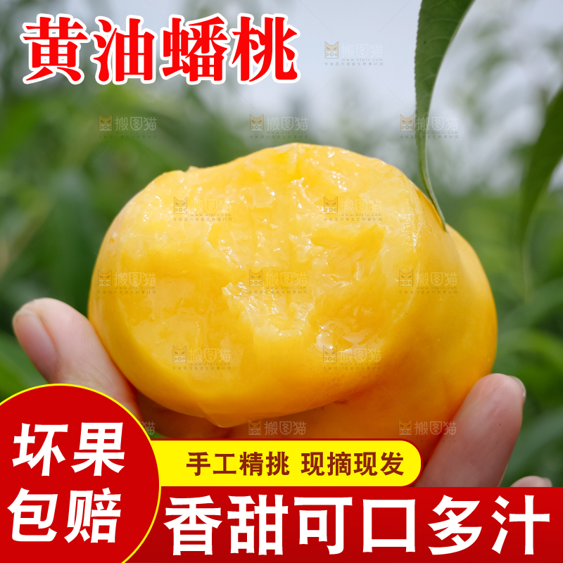 黄油蟠桃