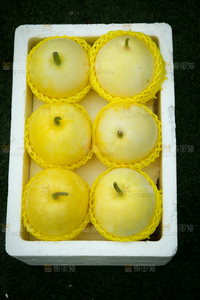 小蜜蜂甜瓜