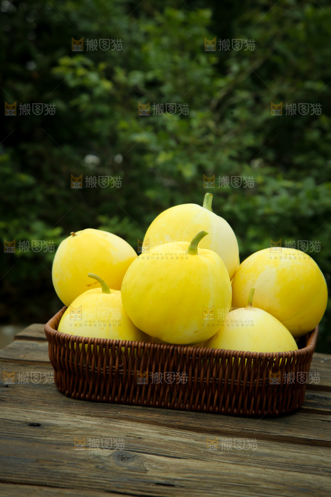 小蜜蜂甜瓜