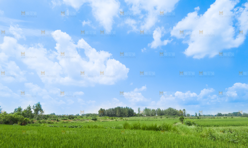 田园风光