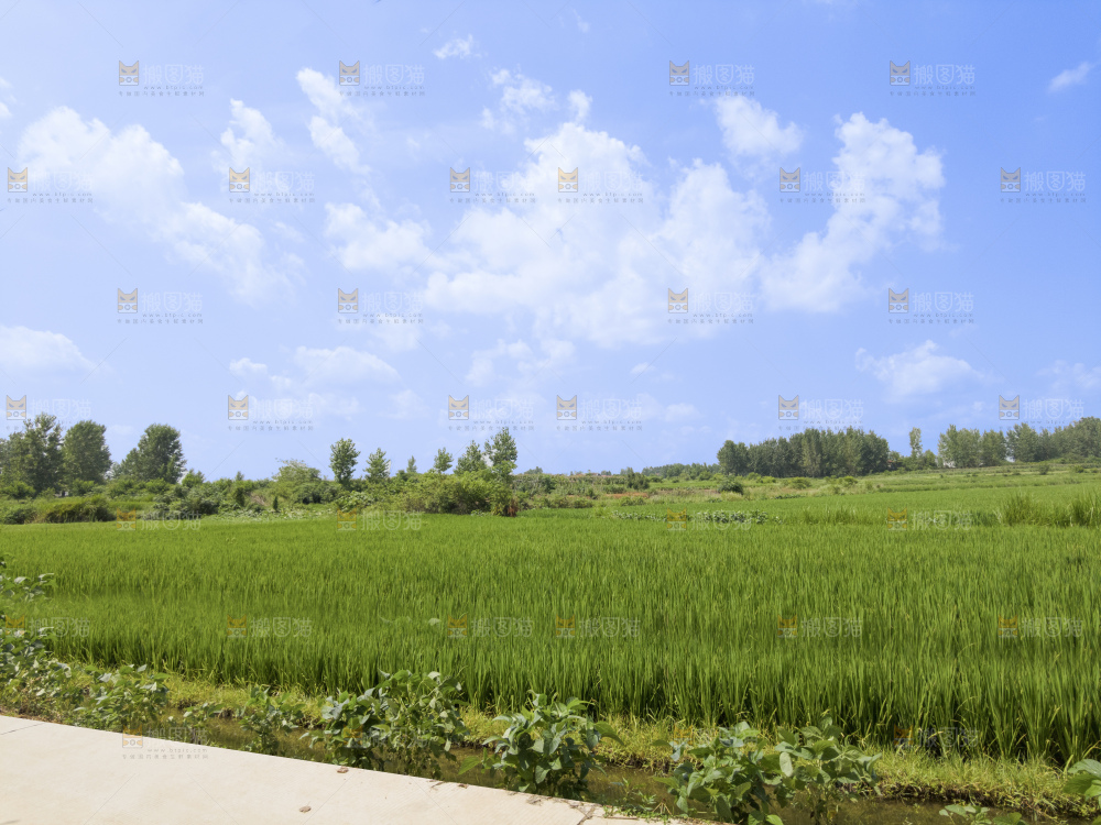 田园风光